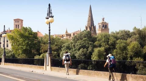 Free Tour Logroño - Vive Logroño Tours