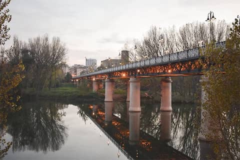 Guided Tour Logroño -Iron Bridge